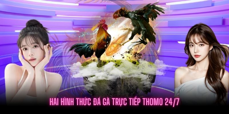 Những hình thức Đá gà trực tiếp Thomo 24/7 phổ biến hiện nay