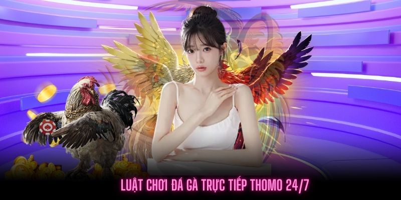 Hướng dẫn luật chơi Đá gà trực tiếp Thomo 24/7