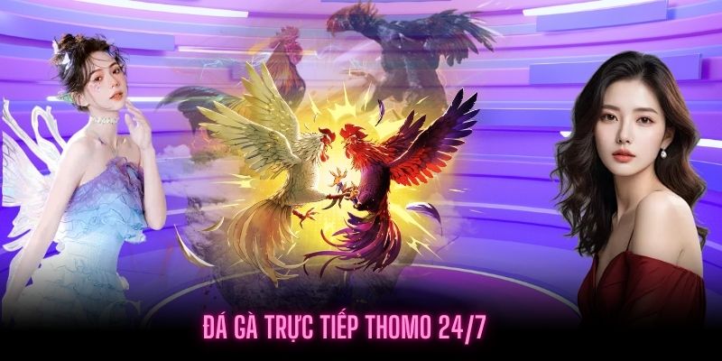 Khái niệm về Đá gà trực tiếp Thomo 24/7